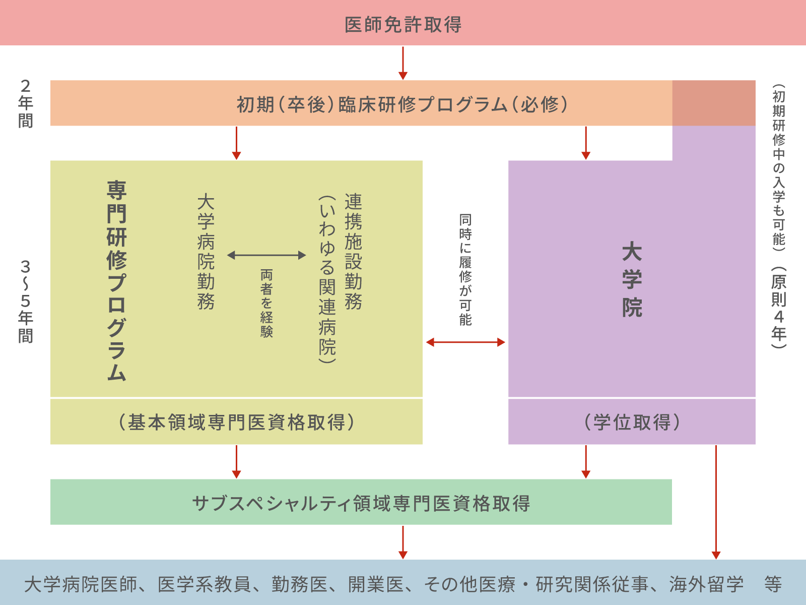 医師免許取得後の進路イメージ